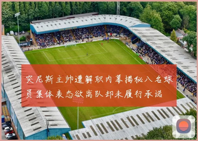 突尼斯主帅遭解职内幕揭秘八名球员集体表态欲离队却未履行承诺